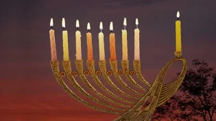 מסירות נפש מדוע?