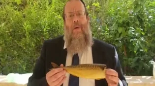אזהרה חשובה! תולעים בדגים: "כמו קפיץ היא מתכרבלת"