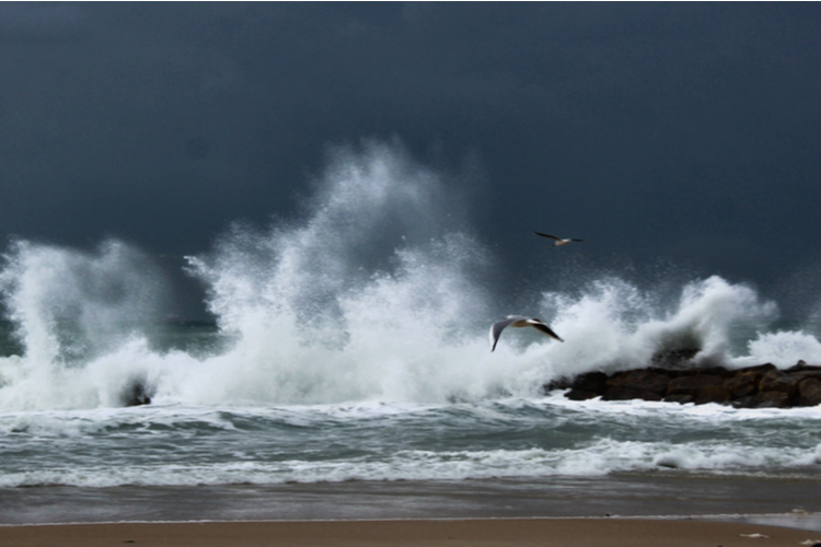 האגם שנוצר לפתע באמצע שכונת אגמים באשקלון האגם שנוצר לפתע באמצע שכונת אגמים באשקלון