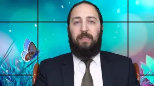 דף יומי: הדף היומי לצפיה - פסחים ל"ו - י"ב טבת: הרב פנחס יוסף אקרב