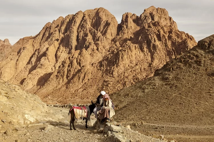 ירידת יעקב למצרים: כשגדולי ישראל ביקרו בחצי האי סיני