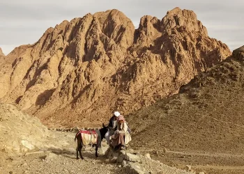 ירידת יעקב למצרים: כשגדולי ישראל ביקרו בחצי האי סיני