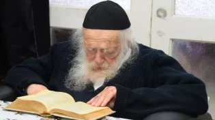 הרב קנייבסקי בחידוש מרתק על הפרשה - המחילה החלקית של אֲחיי יוסף