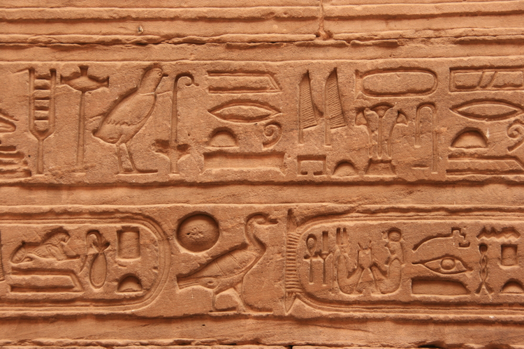 הידעת - למה שימש הבבון בימי קדם? 