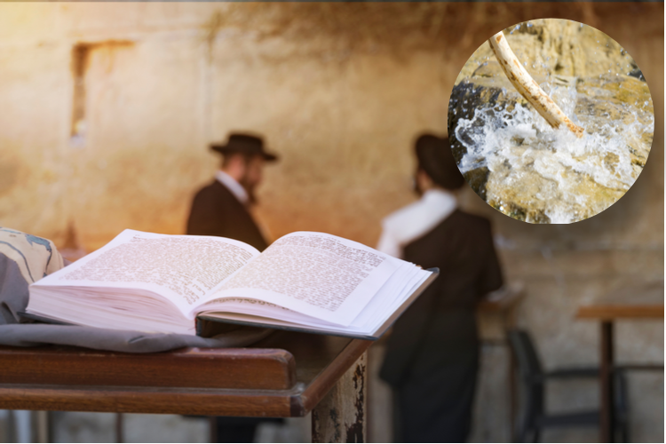 המטה של משה רבינו: כל מה שלא ידעתם עליו המטה של משה רבינו: כל מה שלא ידעתם עליו