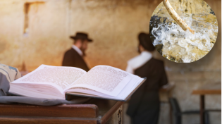 המטה של משה רבינו: כל מה שלא ידעתם עליו 