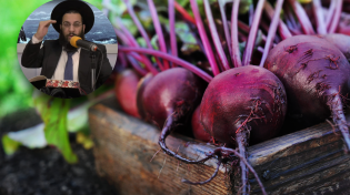 הסלק: הסירו את הספק, מפני שיש בו מעלות טובות משדמיינתם - הרב רביד נגר לערוץ 2000