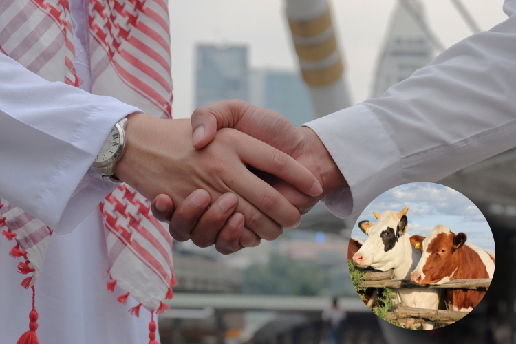 שיתוף פעולה עם מוסלמים: משרד התפוצות בוחן שיתוף פעולה איתם כדי לבטל את ’גזירת השחיטה’ באירופה 