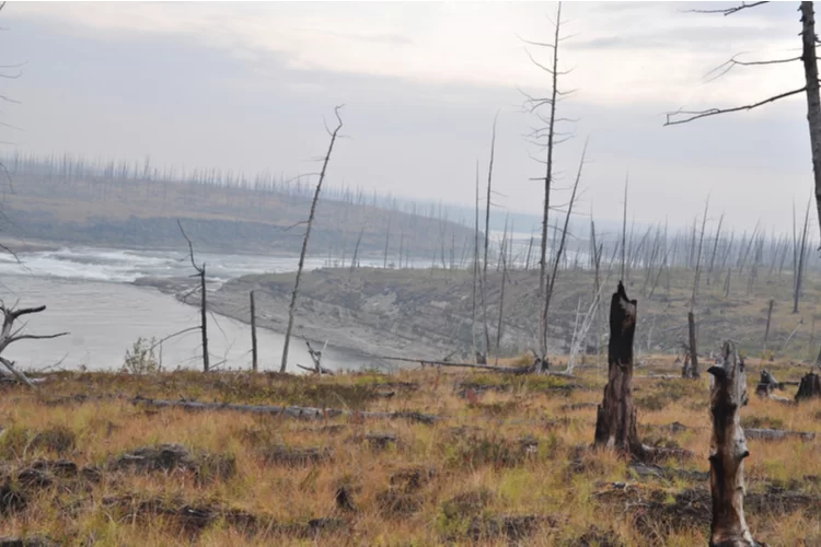 איום חדש: ישפיע על איכות הסביבה שלכם ב-450 שנים הקרובות