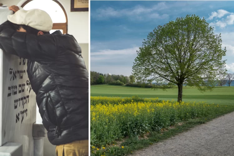 הבעש"ט: כל אחד הוא עץ האילן - המשל והנמשל הבעש"ט: כל אחד הוא עץ האילן - המשל והנמשל