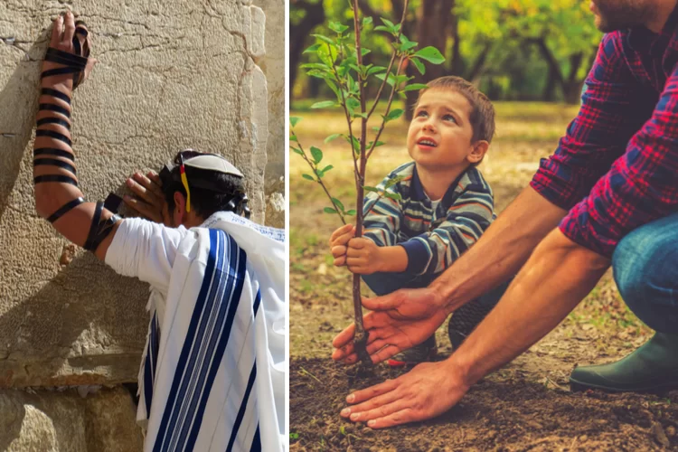 רפואה, חוכמה וגאולה: כל הסגולות לחודש שבט