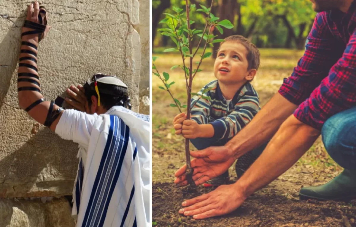 רפואה, חוכמה וגאולה: כל הסגולות לחודש שבט