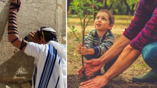 רפואה, חוכמה וגאולה: כל הסגולות לחודש שבט