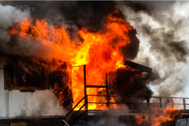 ללא חוש הריח: הם כמעט נכחדו כי לא הבחינו בשריפה המתפרצת