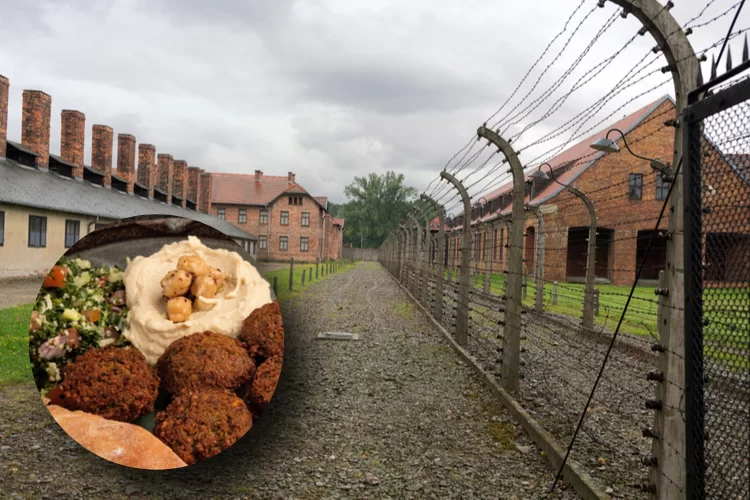 שגעון? הקשר ביניהם - פלאפל לנספי השואה