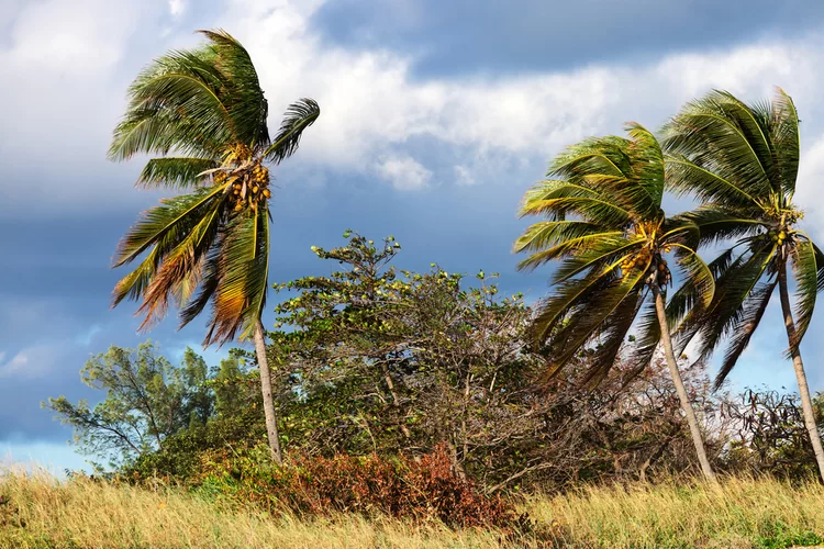רוחות חזקות, קרה ויובש: תחזית מזג אוויר