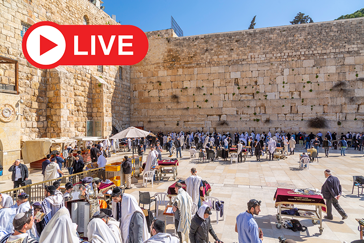 יום התפילה העולמי לעצירת מגיפת הקורונה