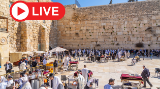 יום התפילה העולמי לעצירת מגיפת הקורונה