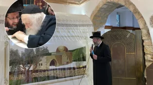 תיעוד - בראשות שר התורה: מעל 100,000 השתתפו במעמד התפילה העולמי לעצירת מגיפת הקורונה