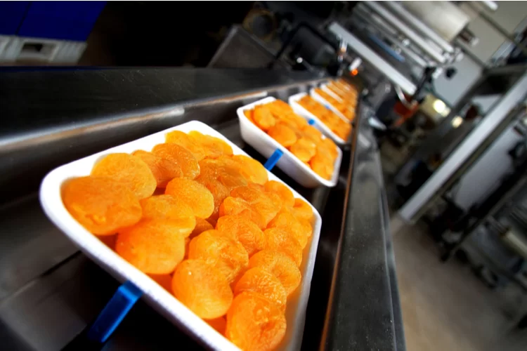 הלכות החג: דיני כשרות בפירות יבשים