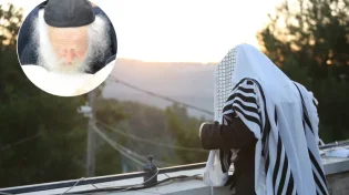 הרבנית לאה קולדצקי, בתו של הגר"ח קנייבסקי חשפה את הסגולה הכי טובה לכל הישועות