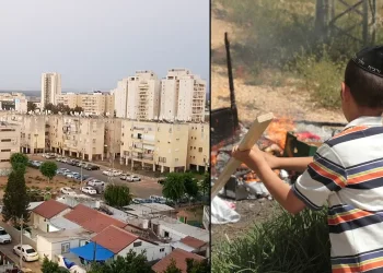 קידוש ה’: ר"ע לוד הודף את ההסתה: "הציבור החרדי הוא איכותי ושקט"