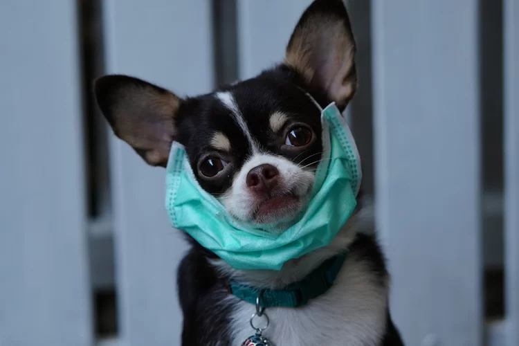 בזכות מי: הכירו את הגיבורים מאחורי החיסון לקורונה בזכות מי: הכירו את הגיבורים מאחורי החיסון לקורונה