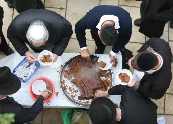 חקלאי הדרום הגיעו לבני ברק עם משאית מזון: "קל להיטפל לציבור החרדי"