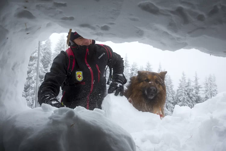 הודות לכלבים: גולשים חולצו ממפולת