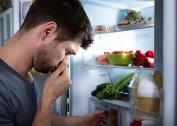 לא זורקים יותר: הפתרון שישמור את הירקות במקרר