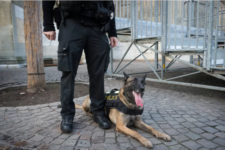 תאילנד: הרוגים ופצועים באירוע ירי בקניון בבנגקוק