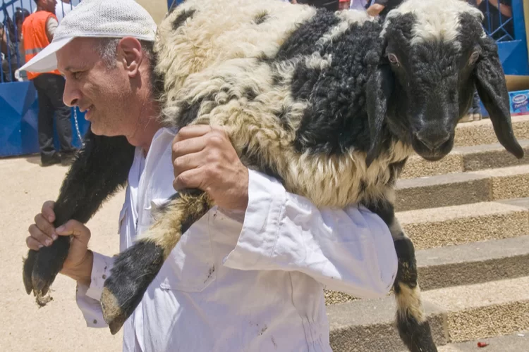 הרב פינטו במתקפה נגד תעשיית מערכת הכשרות