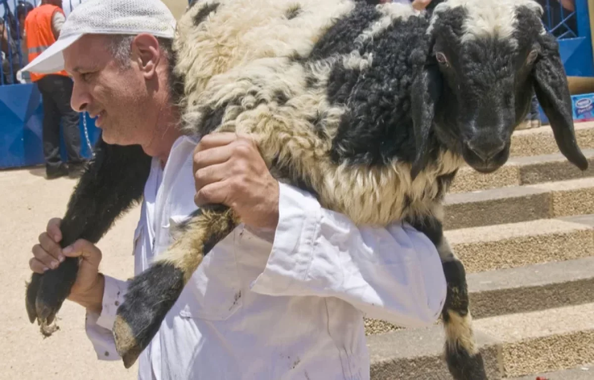 הרב פינטו במתקפה נגד תעשיית מערכת הכשרות