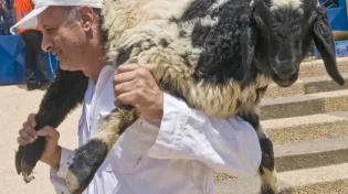 הרב פינטו במתקפה נגד תעשיית מערכת הכשרות