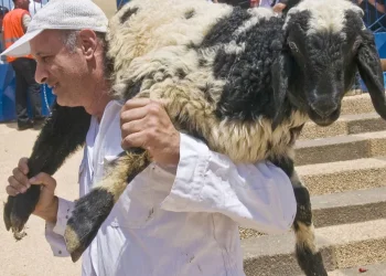 הרב פינטו במתקפה נגד תעשיית מערכת הכשרות