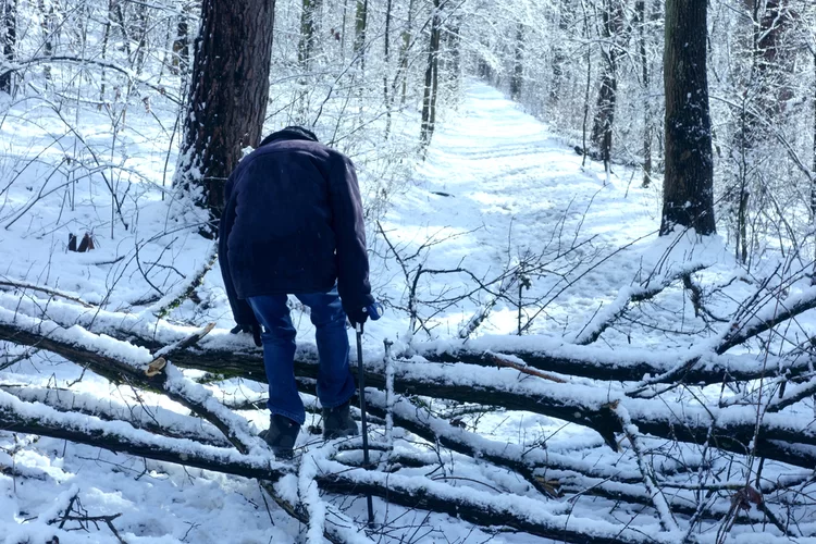 10 ק"מ בשביל חיסון: כך עשתה קשישה בת 90
