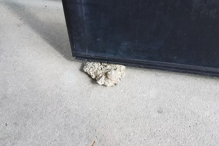 לא ייאמן: האבן שימשה 30 שנה כמעצור לדלת - ואז מה התברר?