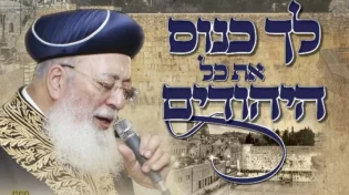 לך כנוס את כל היהודים: בעקבות המצב: גדולי ישראל התכנסו לעצרת תפילה בתענית אסתר