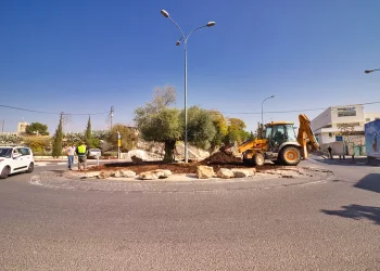 האומנות במלואה: התחנות התחפשו – ומשה ליאון חגג עם התושבים