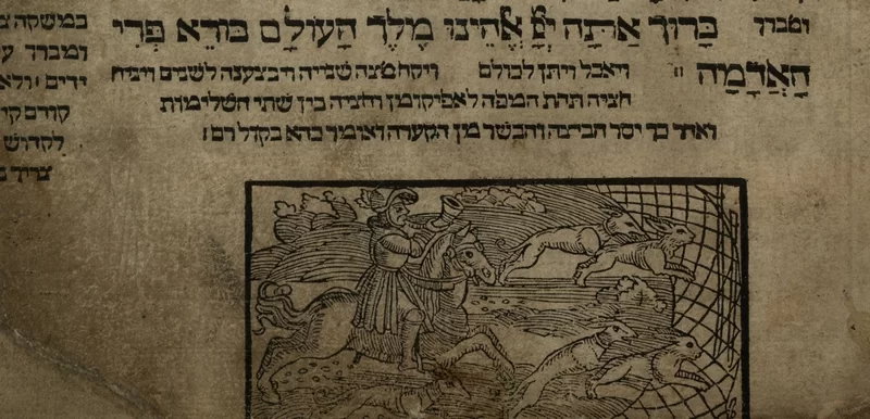 מנהגי גויים: שמו ציורים של ארנבות בהגדה של פסח. למה? מנהגי גויים: שמו ציורים של ארנבות בהגדה של פסח. למה?