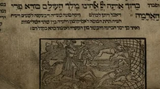 מנהגי גויים: שמו ציורים של ארנבות בהגדה של פסח. למה?