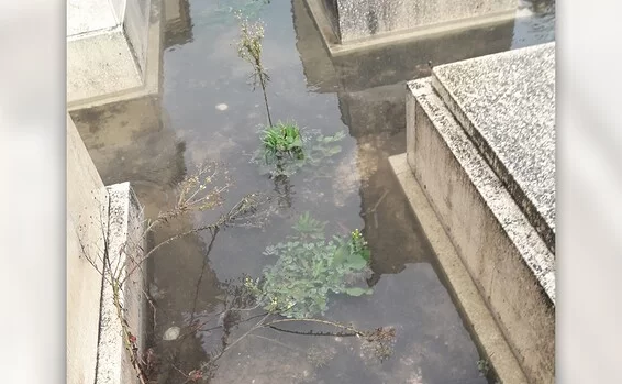 "חילול כבוד המת": הצפות בבית העלמין באור עקיבא