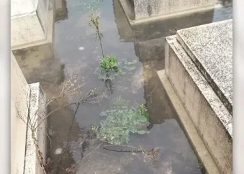 "חילול כבוד המת": הצפות בבית העלמין באור עקיבא