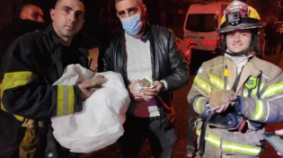 כובש לב: כבאים מתחנת נוף הגליל הצילו את חייהם של גורי חתולים  