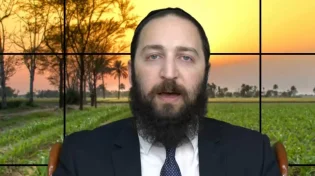 דף יומי: הדף היומי לצפיה - פסחים ק"ב - י"ט אדר: הרב פנחס יוסף אקרב