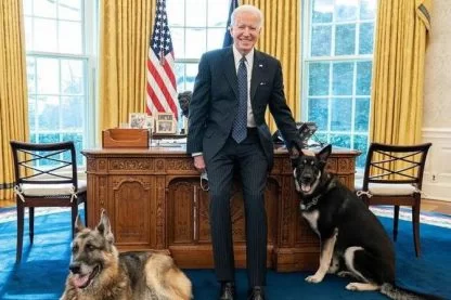"נשכו אותי": שני הכלבים של ביידן גורשו מהבית הלבן