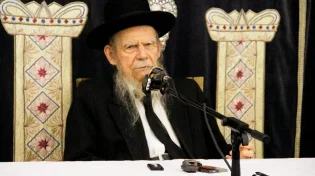 לא בוחלים באמצעים: מתנגד לחיסונים התנפל על הגרי”ג אדלשטיין כשצעד לביתו - ונעצר