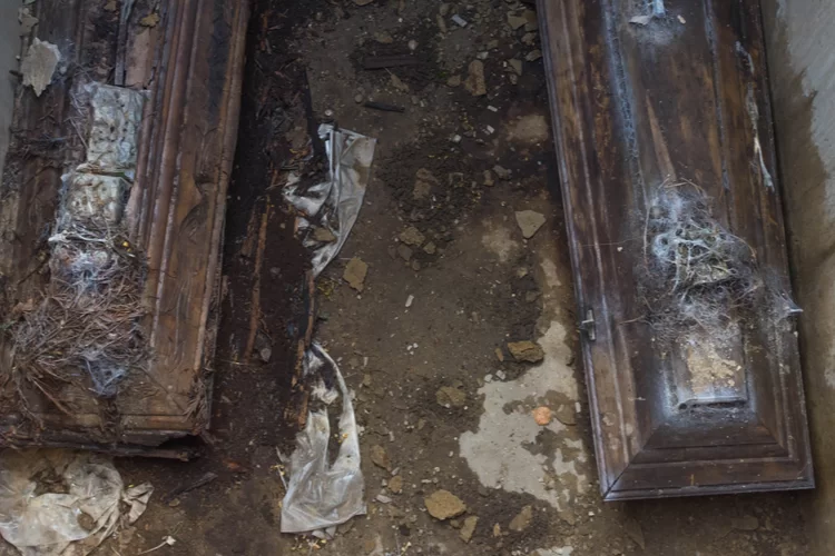 מטריד: נמצאו בספארי שני ארונות קבורה בני 1,800 שנה