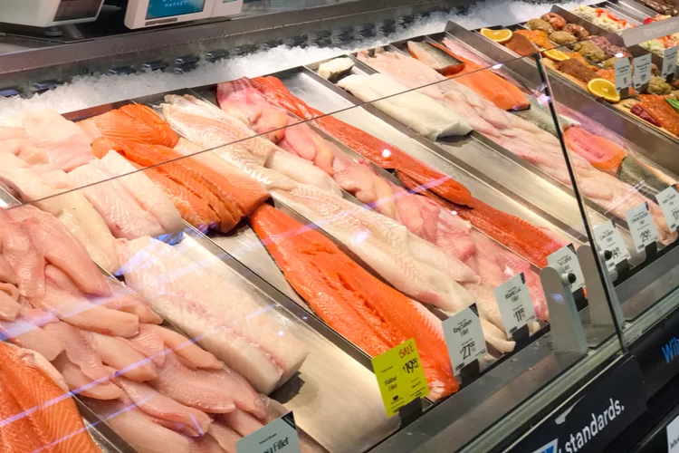 היו זהירים: משווקים ומוכרים דגים עם זפת