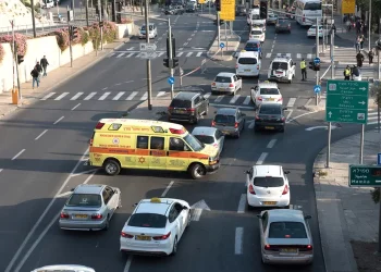  מדריך מד"א השלם לשמירה מלאה כל בריאותכם בפסח